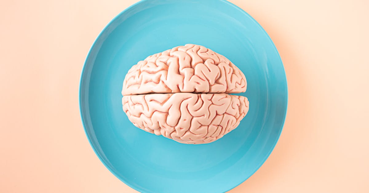 Sleep Pills Miss the Real Target in Alzheimer's Prevention