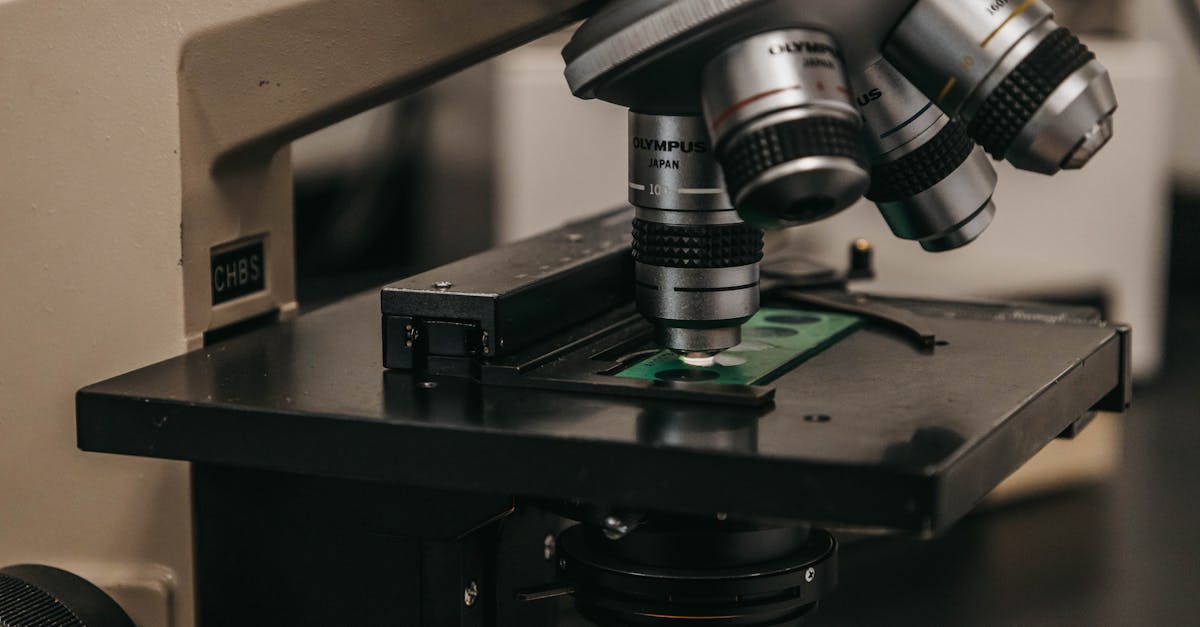 These Antifungal Drugs Extend Mouse Lifespan by 15%