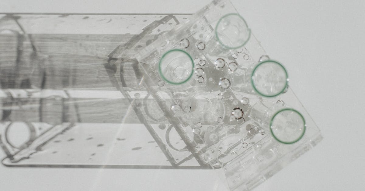 This Probiotic Duo Blocks Aging From Grilled Meat