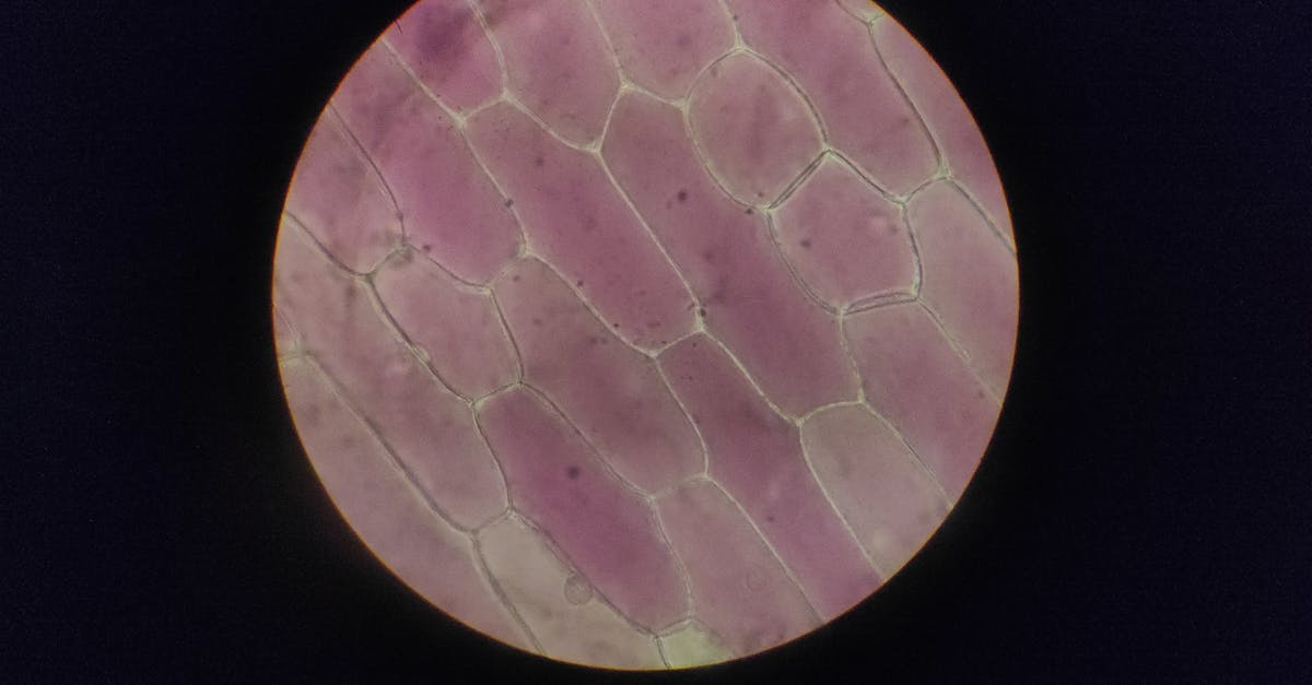 Two Common Drugs Just Hacked The Aging Process