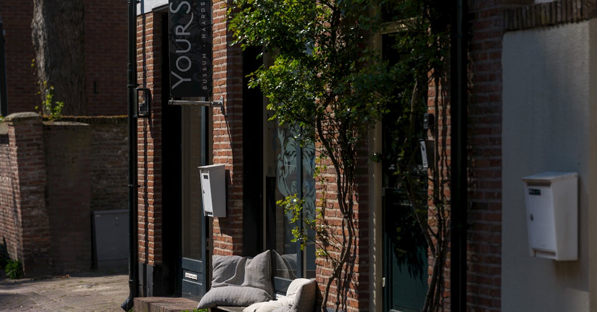 Your Brain's Longevity Settings Need an Upgrade