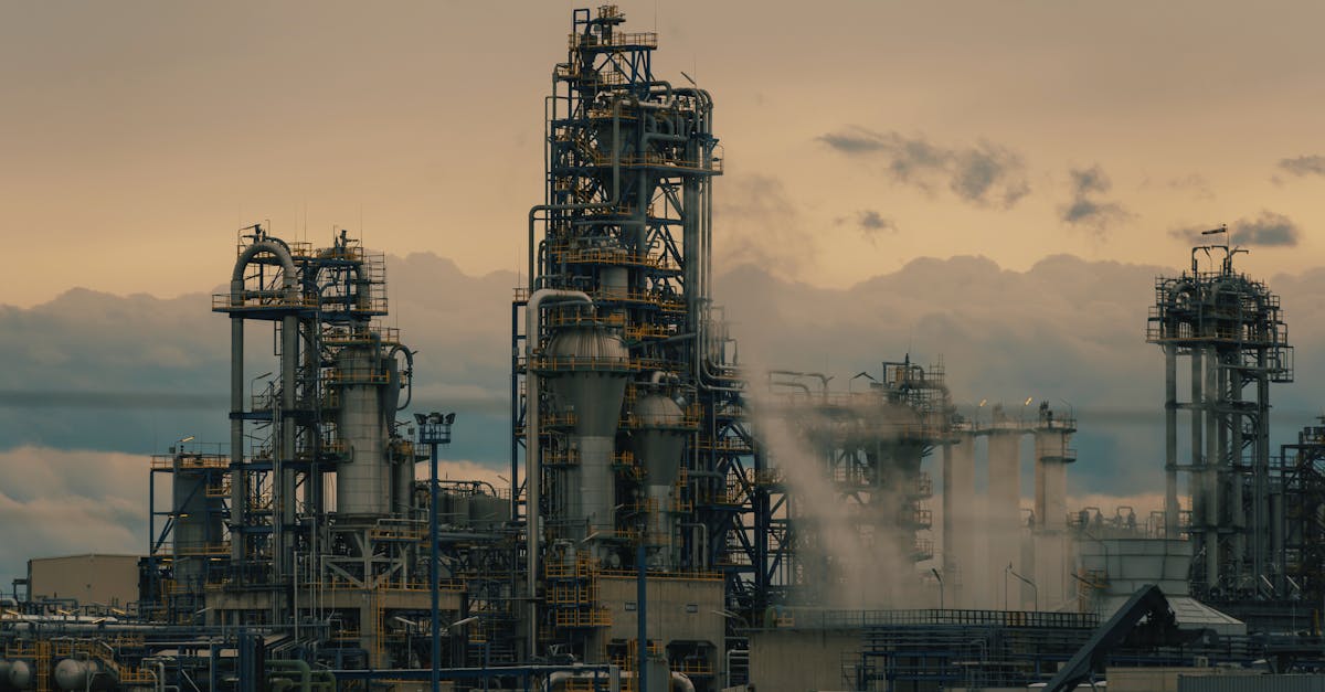 Your Doctor Probably Can't Tell Turmeric From Snake Oil