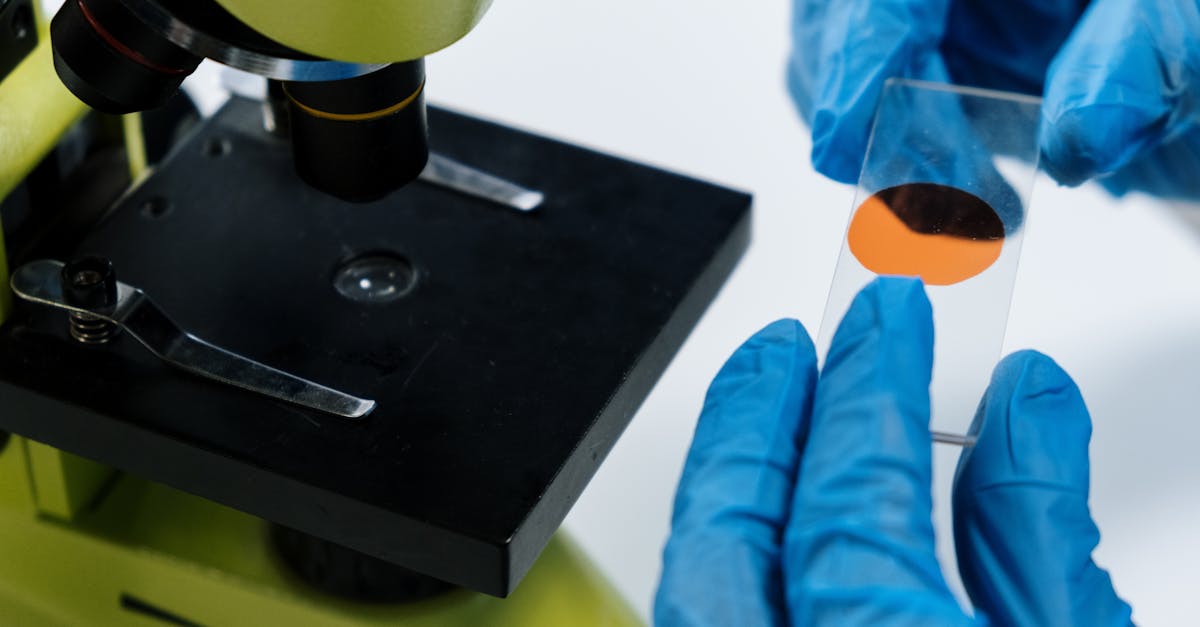 Your IGF-1 Sweet Spot Might Prevent Senescent Cell Mayhem